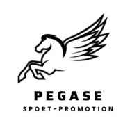 Pégase Sport Promotion logo - Similar company to Groupement Interet Public Arronax