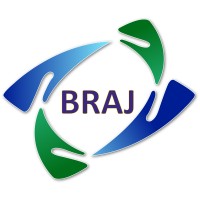BRAJ Information Technology Pvt Ltd logo - Similar company to Tex India Group
