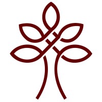 Akılyolu logo - Similar company to Radiant