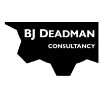 BJ Deadman Consultancy Ltd logo - Similar company to Data Futurists