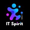 IT SPIRIT logo - Similar company to Topocenter Nice Côte D'Azur - Azur Topo Services Sarl