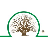 Baumpflege Bollmann GmbH logo - Similar company to Arbor Operations Qld Pty Ltd