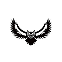 Digital Owl logo - Similar company to Digitalowl