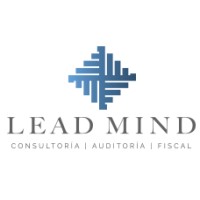Lead Mind logo - Similar company to Lr García Accountants