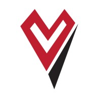 Vaultek Systems logo - Similar company to Cannon Security Products
