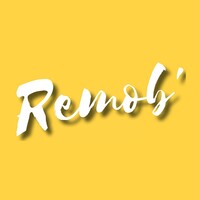 REMOB' logo - Similar company to Programme Pi