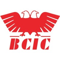 BCIC Karnataka logo - Similar company to Belagavi Technology Companies Association (Betca)
