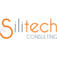 Silitech Consulting logo - Similar company to Machine-Vision.Io