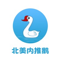 北美内推鹅 logo - Similar company to Rexpand