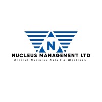 NUCLEUS MANAGEMENT LTD logo - Similar company to Nucleus Management Consultants