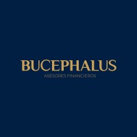 Bucephalus, Asesores Financieros logo - Similar company to Mapps - Macro Aplicaciones