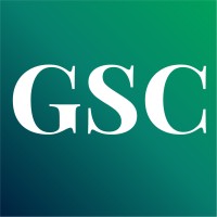 Global Support Capital logo - Similar company to Panther Investment Management