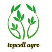 Topcell Nigeria Limited logo - Similar company to Konica Minolta Business Solutions Kazakhstan