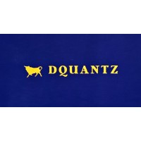 Deltaquant DMCC logo - Similar company to Bullet Financial Brokerage