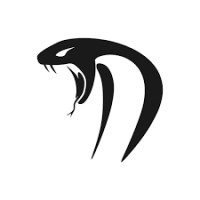 Cobra City Oil Recycling Corp