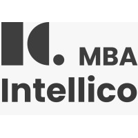 Intellico MBA logo - Similar company to Demystifying Day Zero