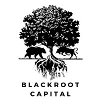 BlackRoot Capital logo - Similar company to Blackroot