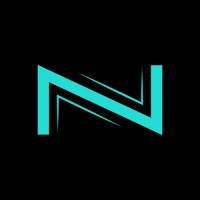 Netrunners logo - Similar company to Jantra Software Bt