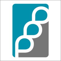 Pettinelli Financial Partners logo - Similar company to Mybraindr