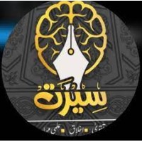 Seerat Educational System logo - Similar company to Safety Prosol