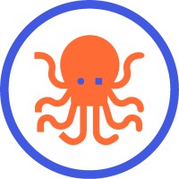 Orange Octopus Consulting logo - Similar company to Octopus Consulting