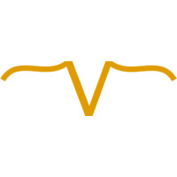 Flying V Solutions logo - Similar company to Silvercore Outdoors