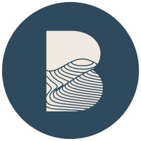 Borup Solutions LLC logo - Similar company to Collider