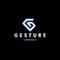 gesture lifestyle logo - Similar company to Simvest