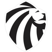 Bitlion logo - Similar company to Techx