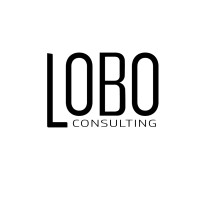 Lobo Consulting logo - Similar company to Milestone Accounting Ltd T/A First Class Accounts Panmure