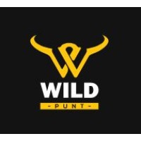 Wild Punt || Poker, Rummy, Batting, Cricket Prediction, Casino, een Patti, 32 Card, 52 Card logo - Similar company to Wild Punt