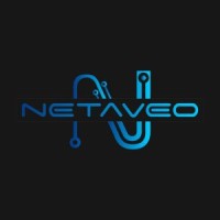 Netaveo logo - Similar company to Wolff Interactive Gmbh