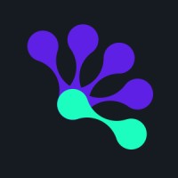 Gecko-Lab | mobile apps logo - Similar company to Memory Squared
