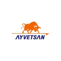 Ayvetsan logo - Similar company to Crs Partner