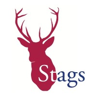 Stags Participations logo - Similar company to Stags
