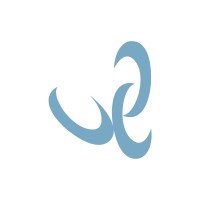 Visual Empire logo - Similar company to Integrated Project Group