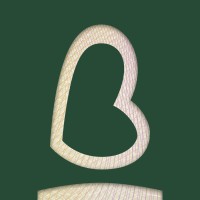 Branin logo - Similar company to Shefactor