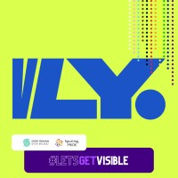 Volleyball Ireland logo - Similar company to Luxxdom Group
