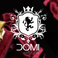 DOMI Exclusiv GmbH logo - Similar company to Cashflow Content