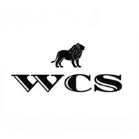 Weill Consulting Services LLC logo - Similar company to Opulence Entertainment Group