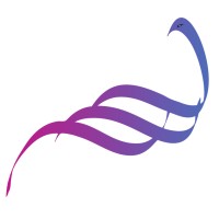 World Feather logo - Similar company to Tyfali Consulting