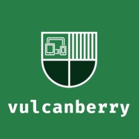 VulcanBerry logo - Similar company to Adexpo Production Pvt. Ltd.