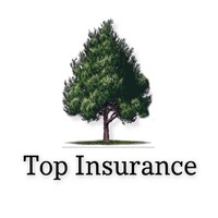 Top Insurance Services logo - Similar company to Mammoth Life & Reinsurance Company