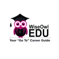 WiseOwl Edu logo - Similar company to Ensis