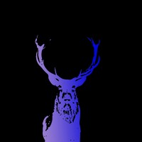 SilverStag Digital logo - Similar company to Suraj Infotech