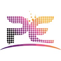 Perky Engineering andservice logo - Similar company to Wuhan Guangzhi Technology (Gztech) Corporation Ltd.