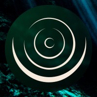 Coventina Foundation logo - Similar company to Metacurrency Project