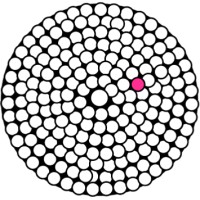 Skin2Neuron logo - Similar company to Ekulus Consulting