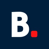 Bison Consulting logo - Similar company to Livewire Management Consulting