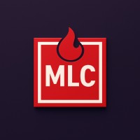More Less Consulting logo - Similar company to Codicode D.O.O.
